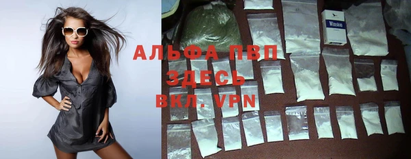 стаф Горняк