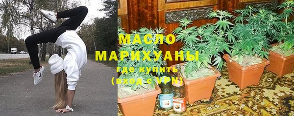 гашик Гусь-Хрустальный