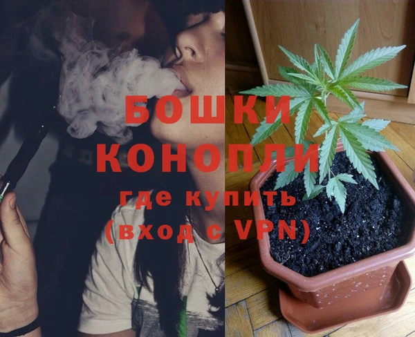 гашик Гусь-Хрустальный