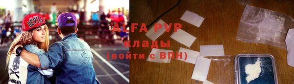 гашик Гусь-Хрустальный
