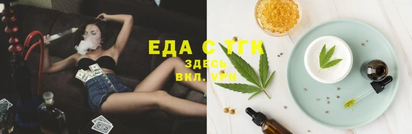 стаф Горняк