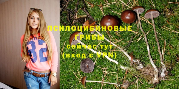 гашик Гусь-Хрустальный