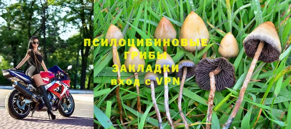 кристаллы Гусев