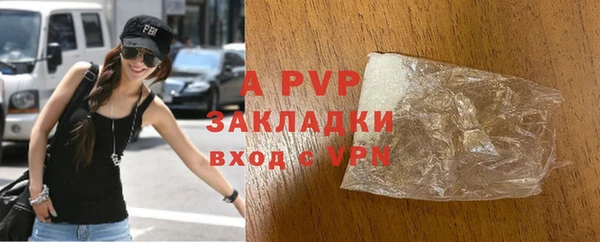 гашик Гусь-Хрустальный