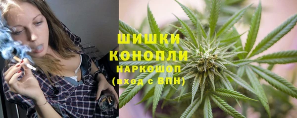 гашик Гусь-Хрустальный