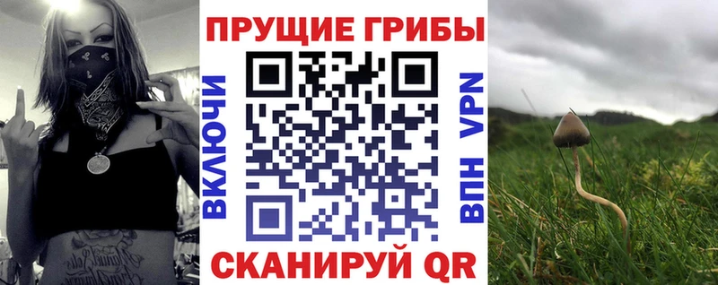 Купить закладки  Камешково  Галлюциногенные грибы ЛСД 